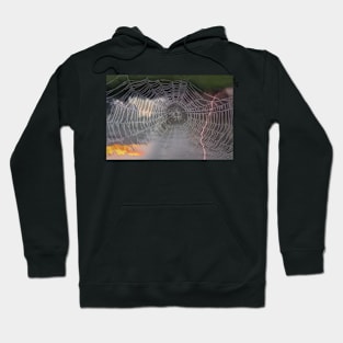 The Web We Weave Hoodie